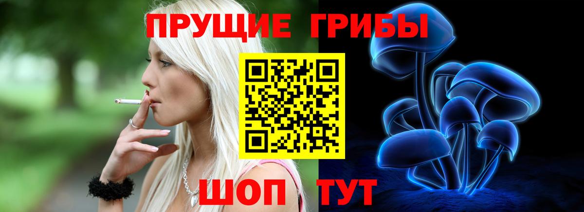 Псилоцибиновые грибы Psilocybe  Вход с VPN  где купить   Кимры 